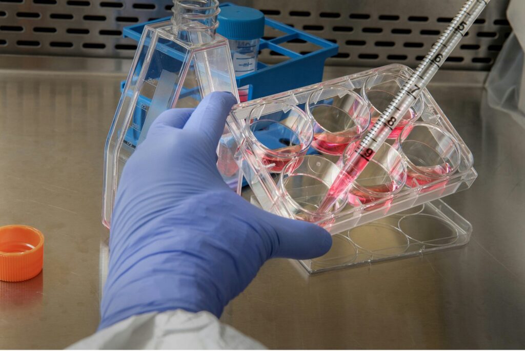 A Person in a Lab Coat Holds a Test Tube Filled With Bright Red Liquid, Standing in a Laboratory Setting.